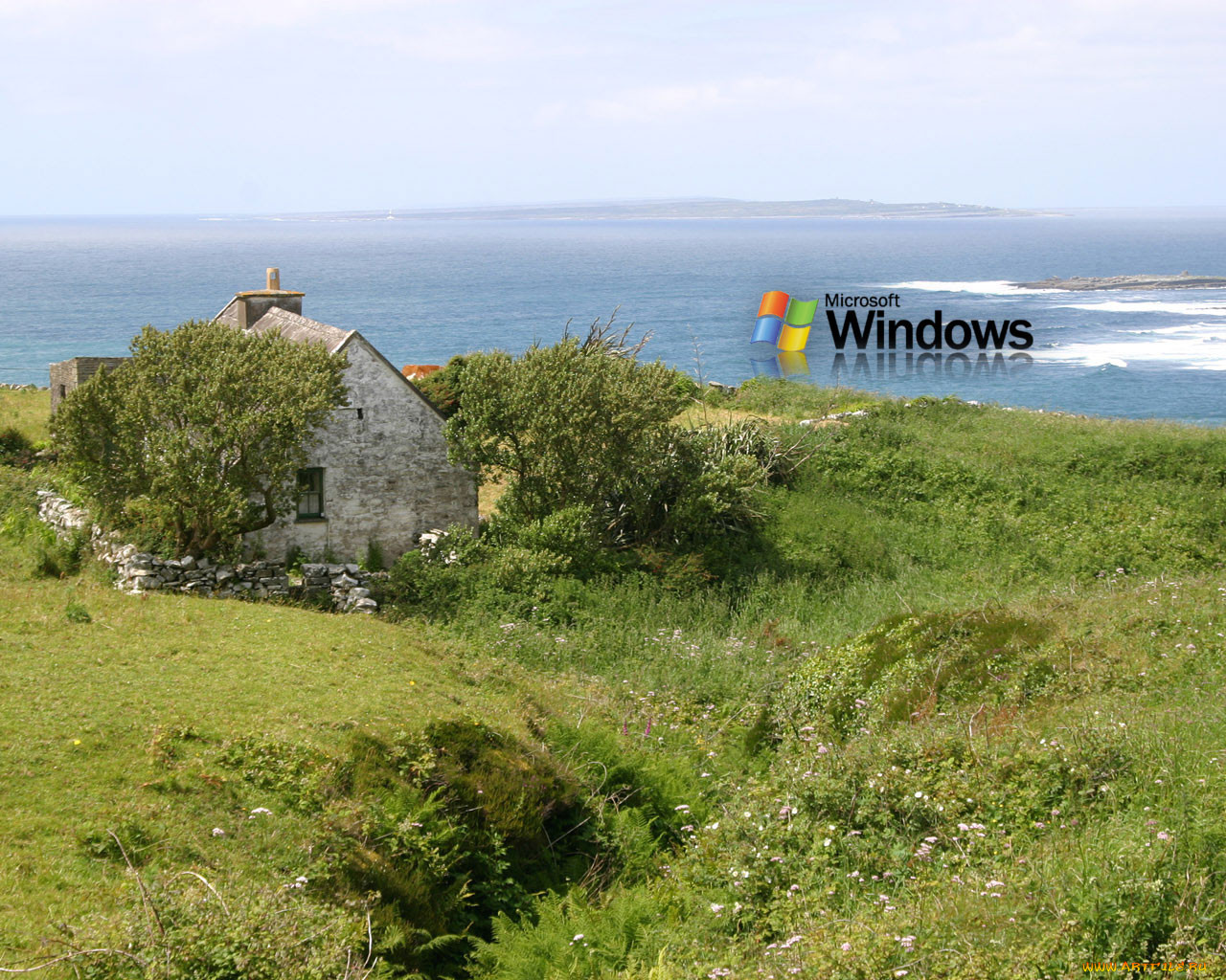 , windows, xp